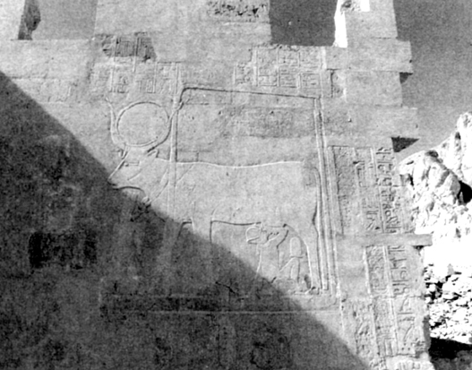 Hathor nursing the pharaoh, from B.Lesko's _the Great Goddesses of Egypt_