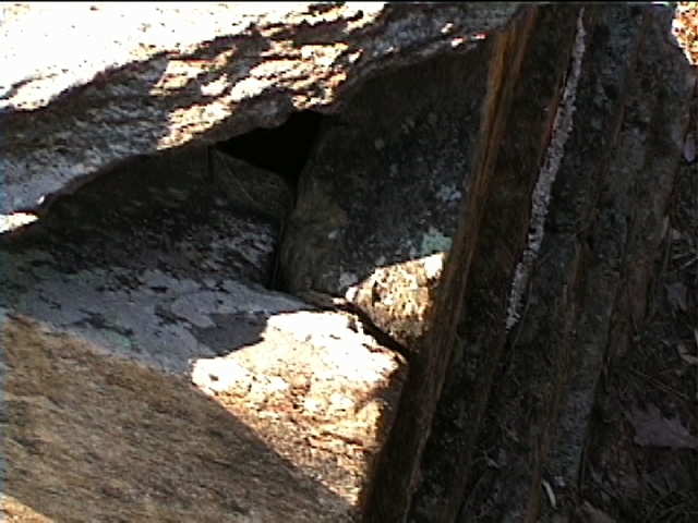 Mount Gilead Cemetery 19