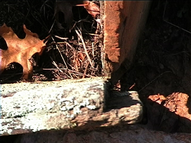 New Bridge Baptist Church Cemetery 28