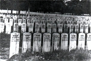 Andersonville/Fort Sumter Cemetery - wooden markers